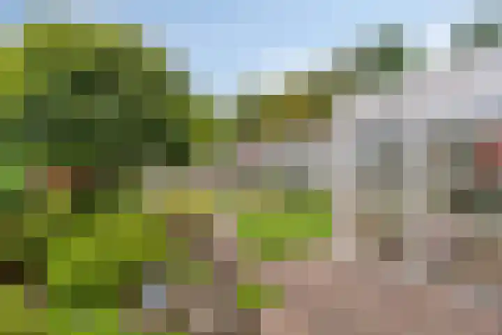 Hulsterseweg 23 Axel thumbnail 30