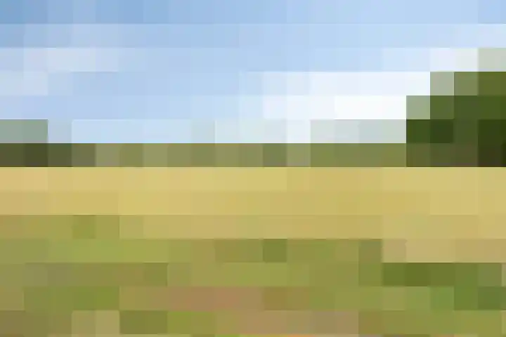 Hulsterseweg 23 Axel thumbnail 31