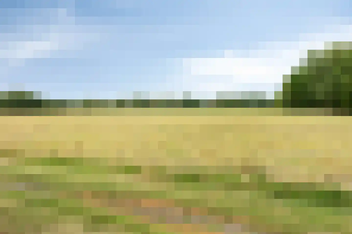 Hulsterseweg 23 Axel thumbnail 31
