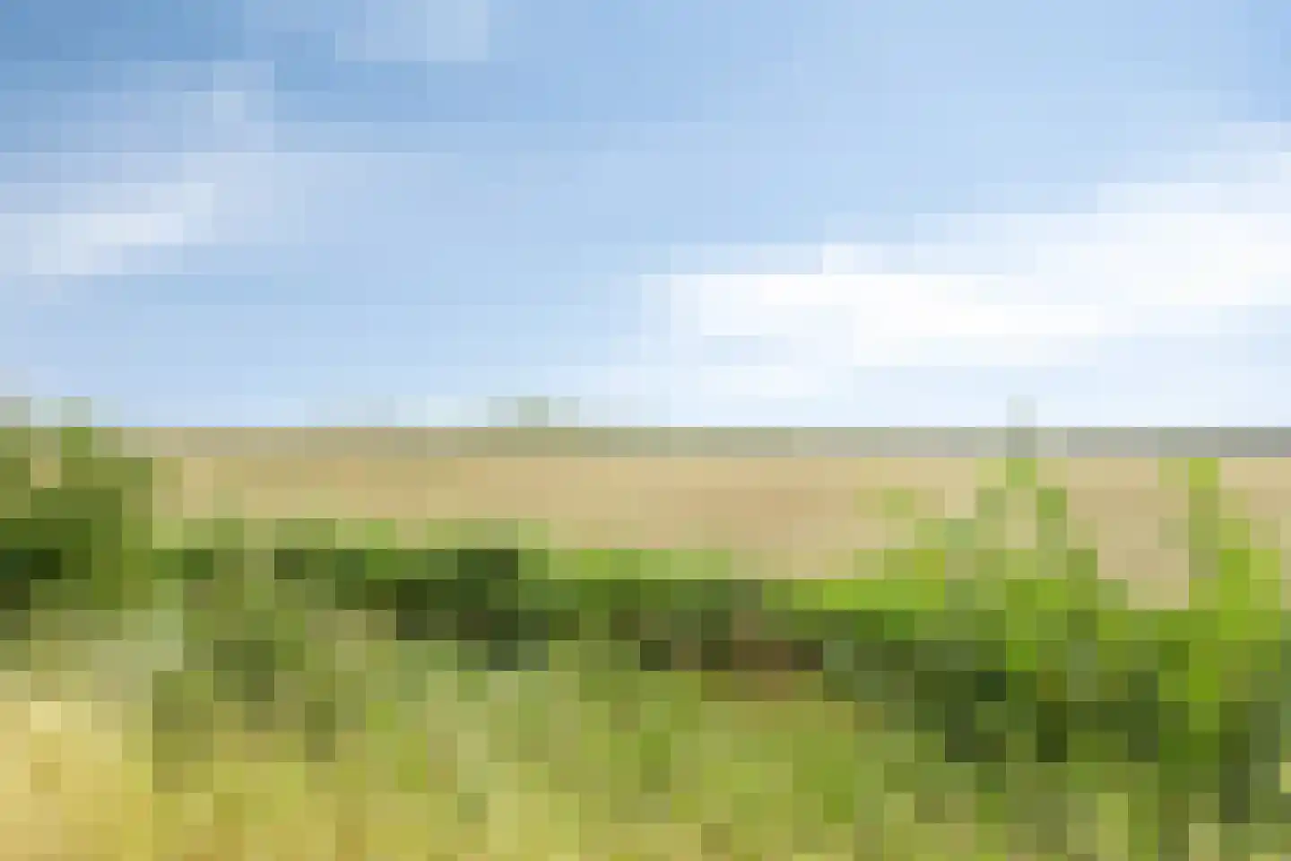 Hulsterseweg 23 Axel thumbnail 32