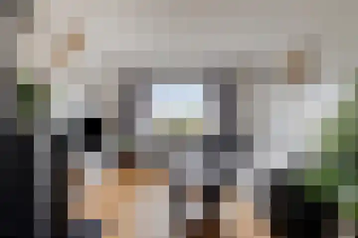 Hulsterseweg 23 Axel thumbnail 4