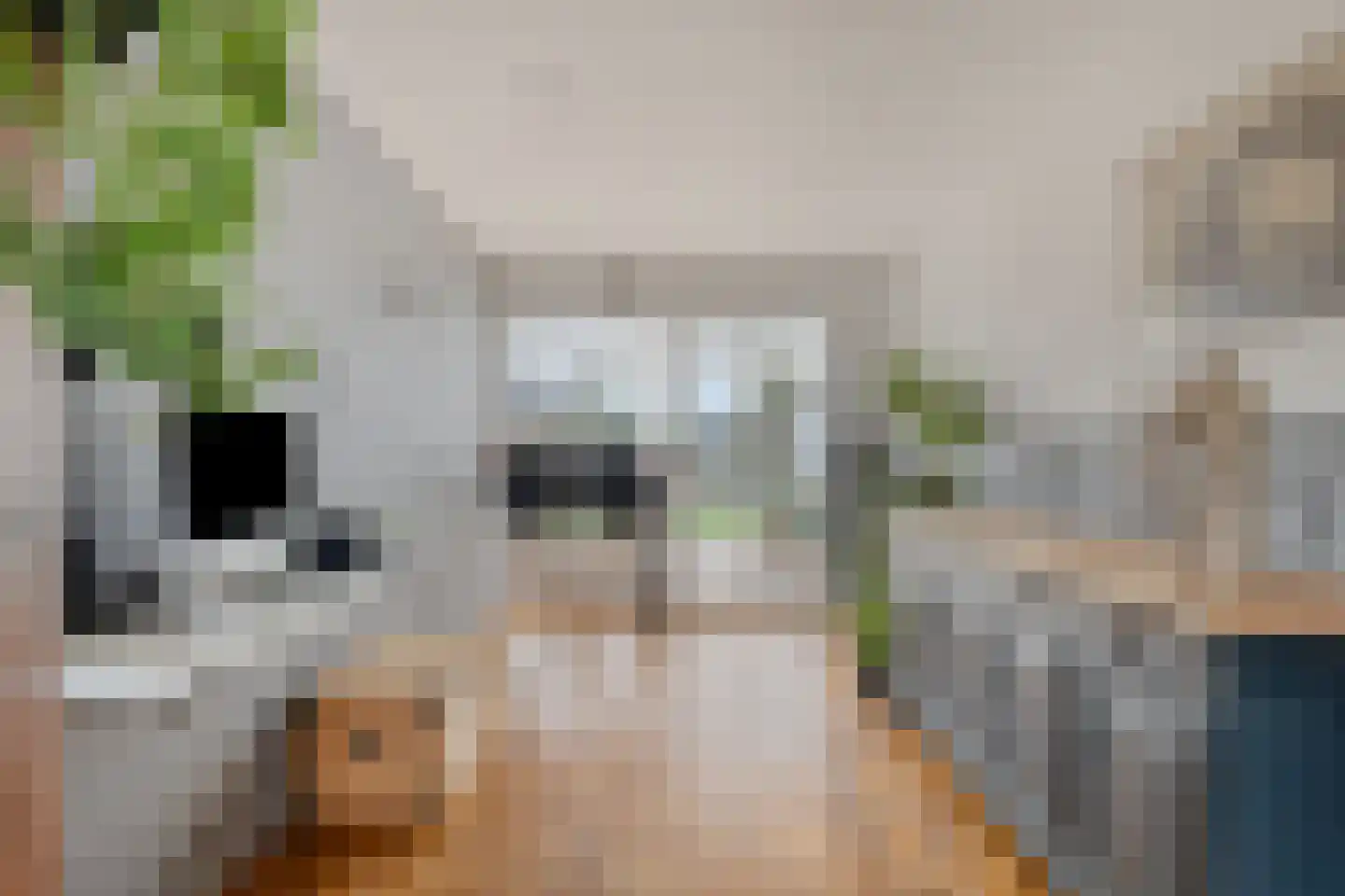Hulsterseweg 23 Axel thumbnail 6
