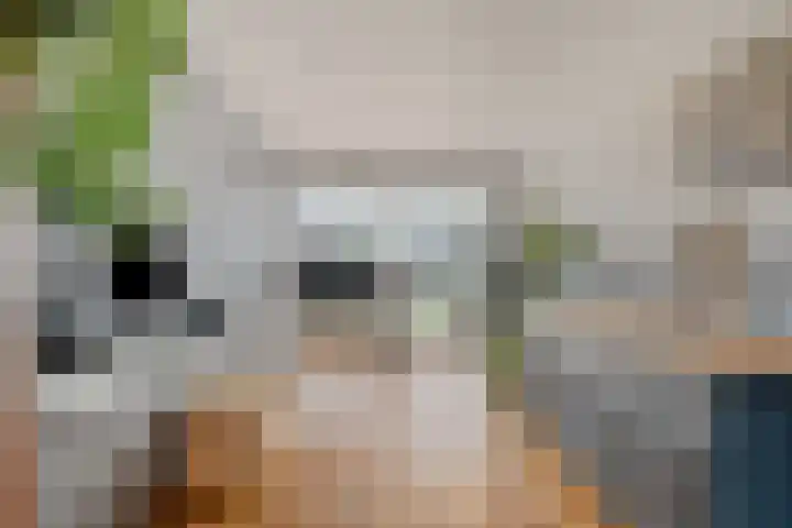 Hulsterseweg 23 Axel thumbnail 6