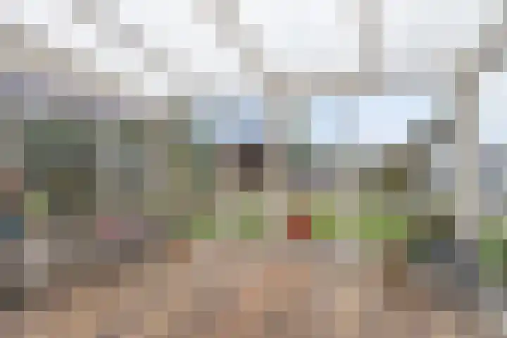Hulsterseweg 23 Axel thumbnail 8