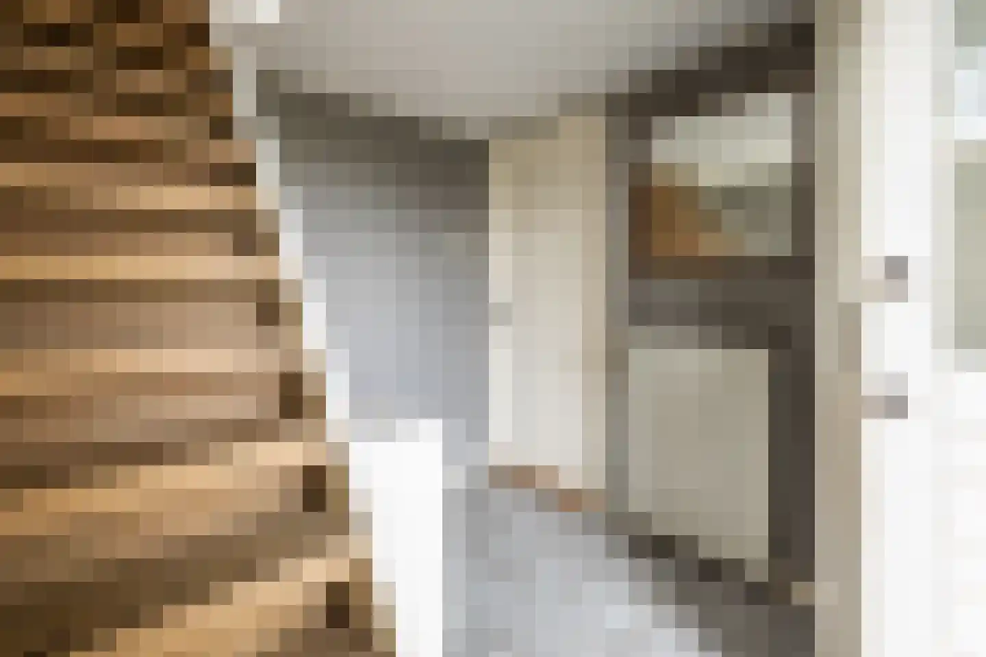 Hulsterseweg 29 Axel thumbnail 24