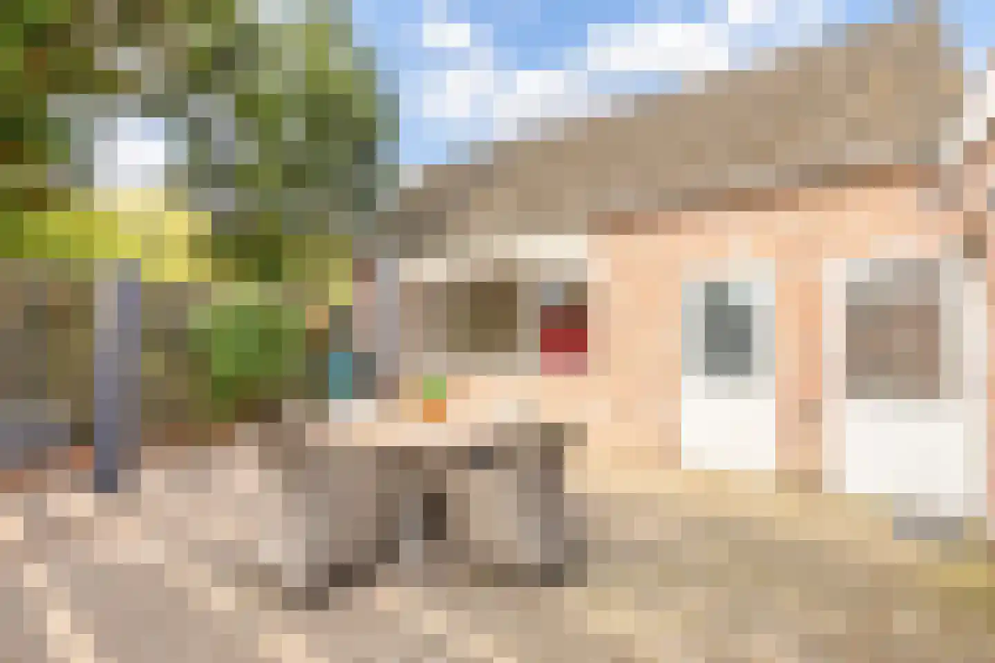 Hulsterseweg 29 Axel thumbnail 30