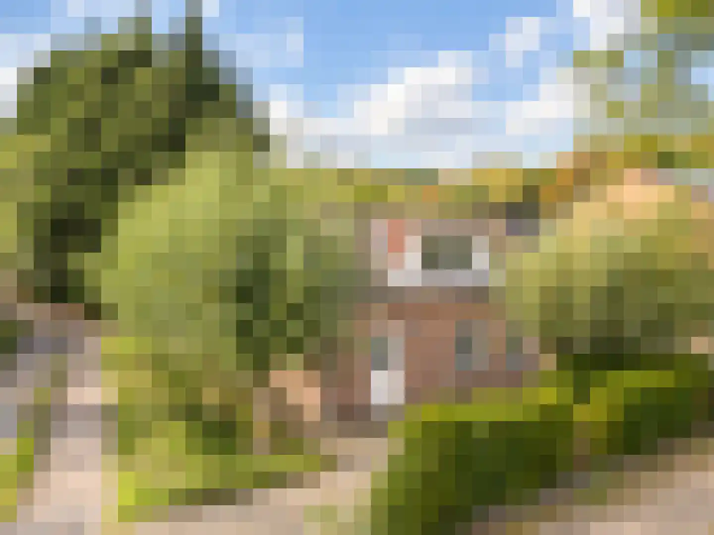 Hulsterseweg 29 Axel thumbnail 31