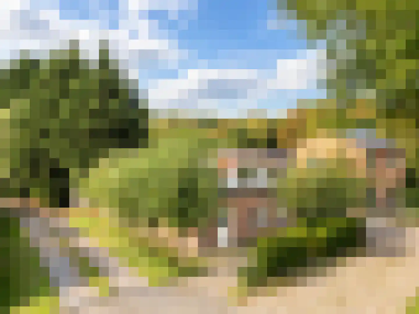Hulsterseweg 29 Axel thumbnail 32