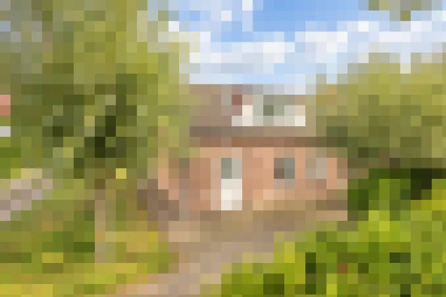 Hulsterseweg 29 Axel thumbnail 5