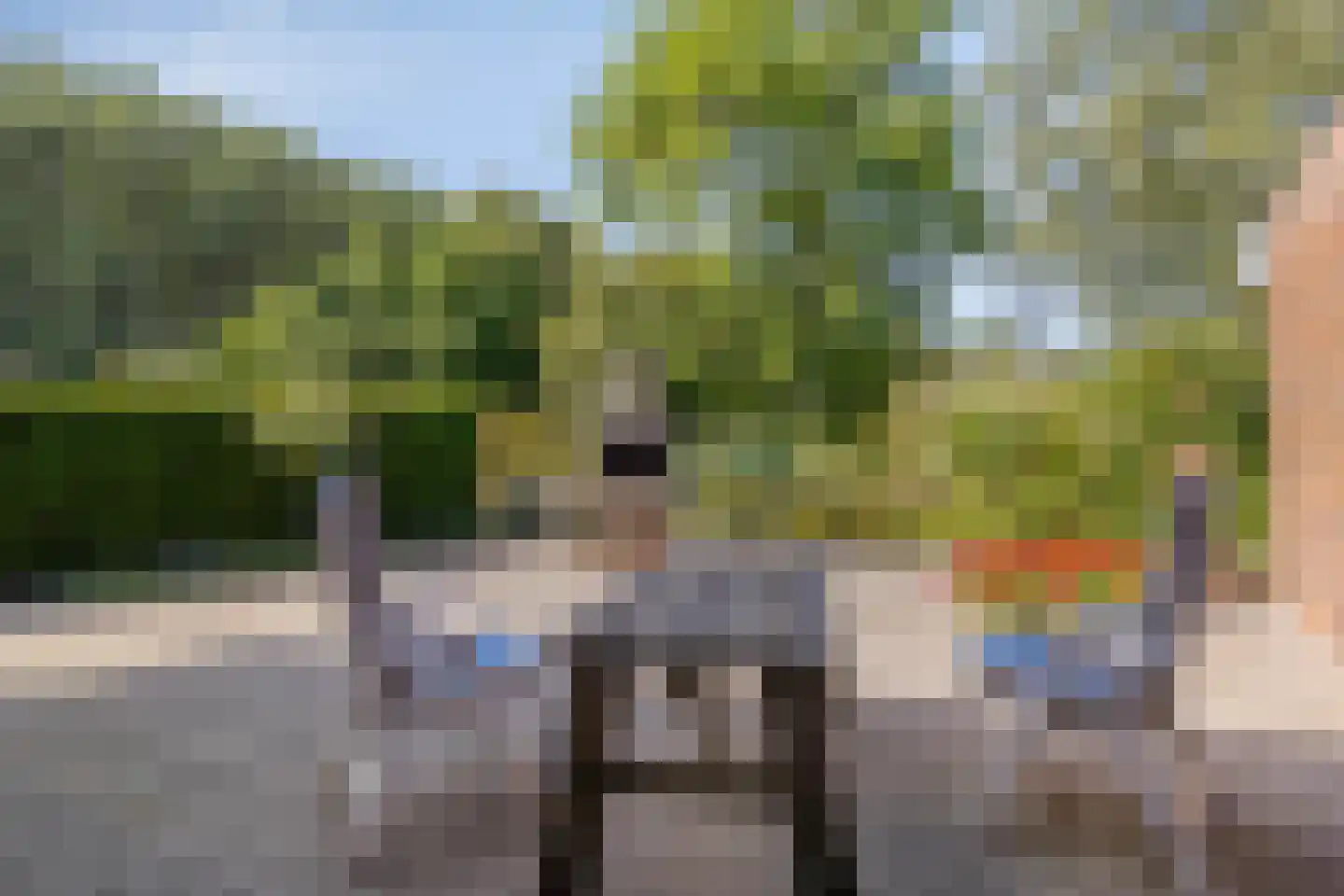 Hulsterseweg 5 Axel thumbnail 13