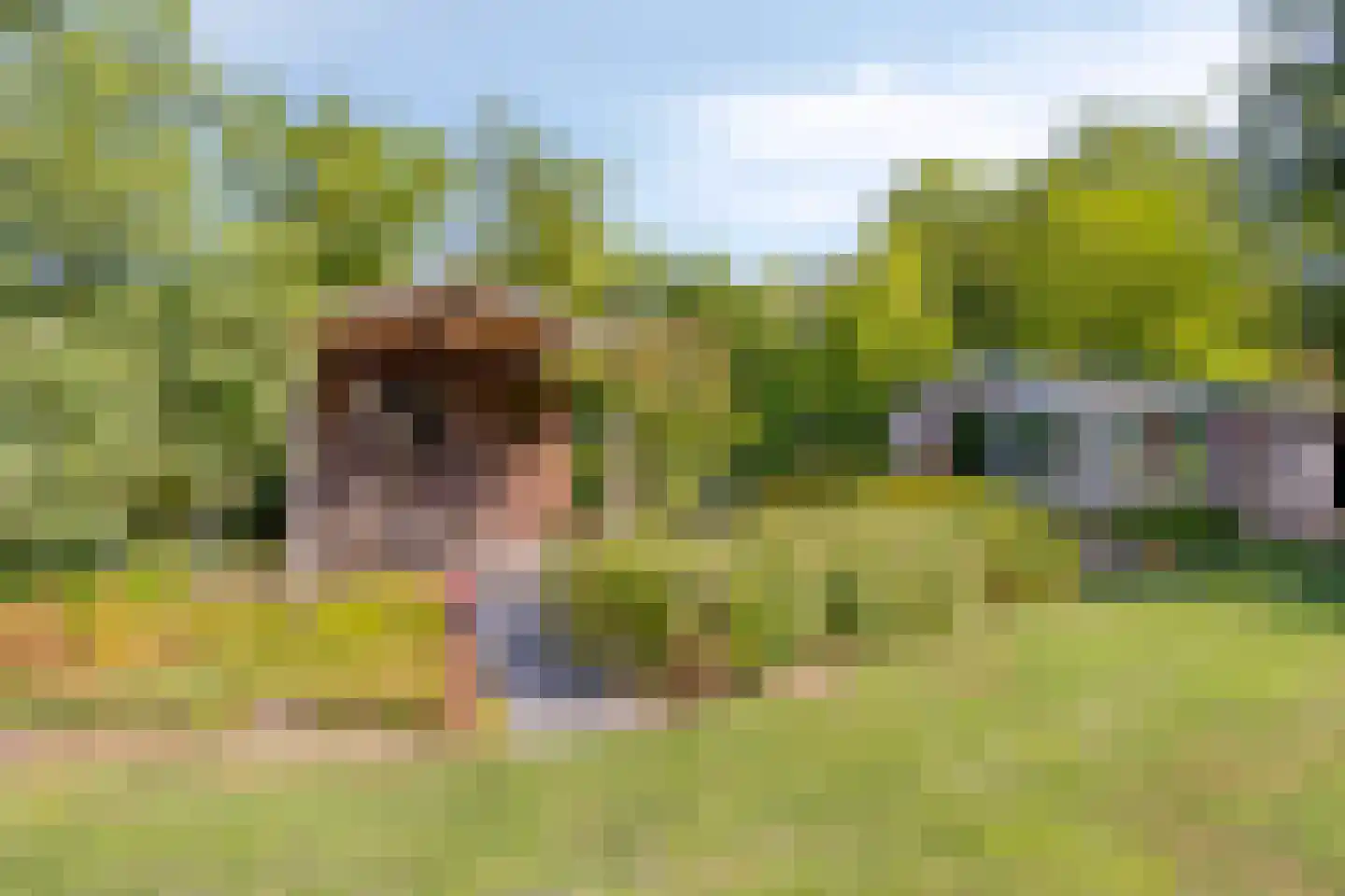 Hulsterseweg 5 Axel thumbnail 14