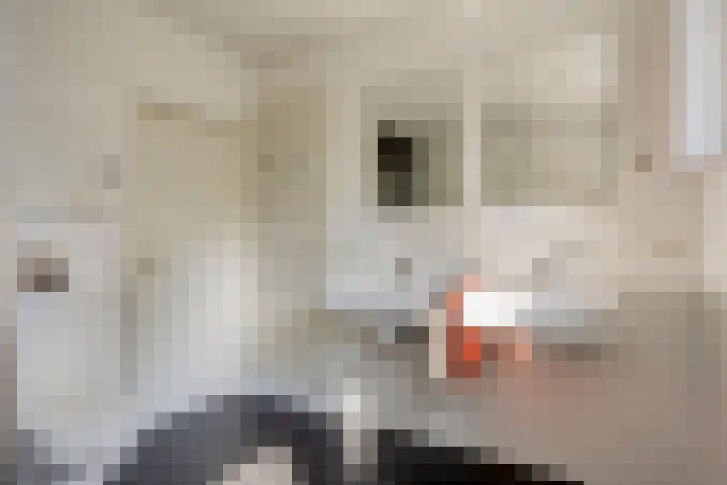 Hulsterseweg 5 Axel thumbnail 17