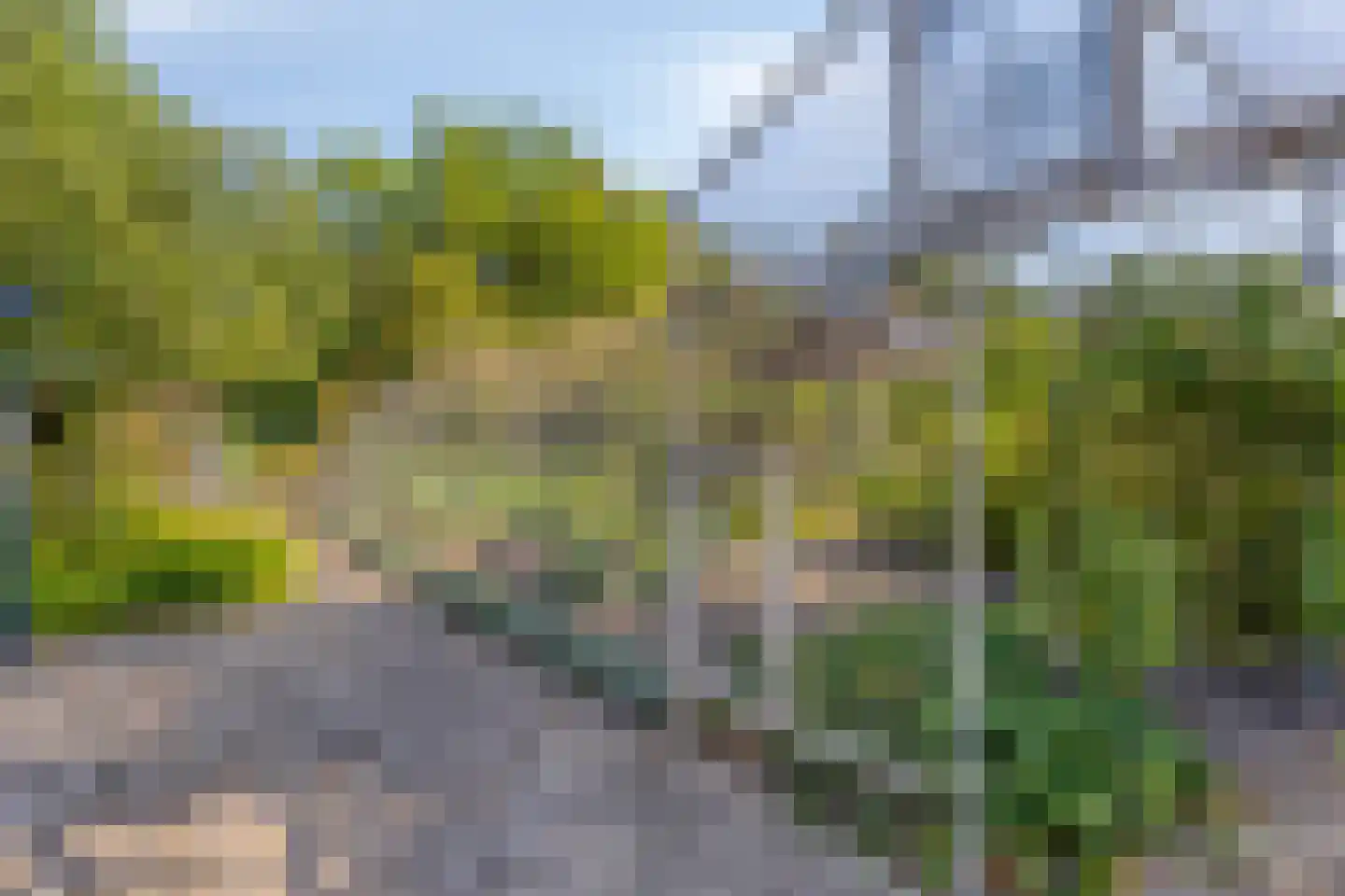 Hulsterseweg 5 Axel thumbnail 36