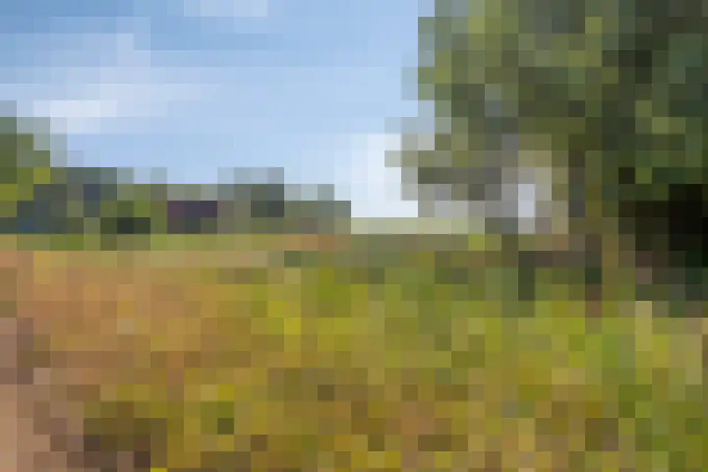 Hulsterseweg 5 Axel thumbnail 39