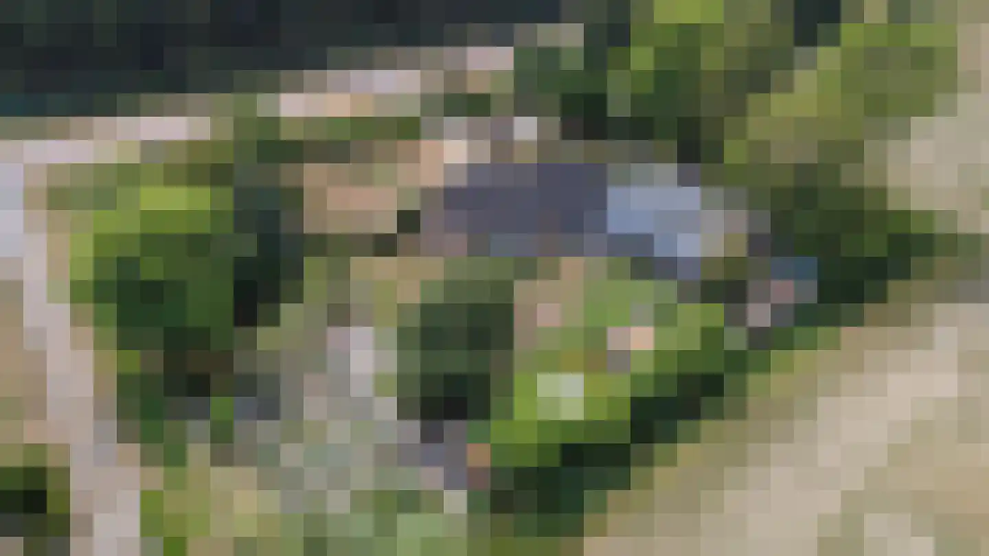 Hulsterseweg 5 Axel thumbnail 40