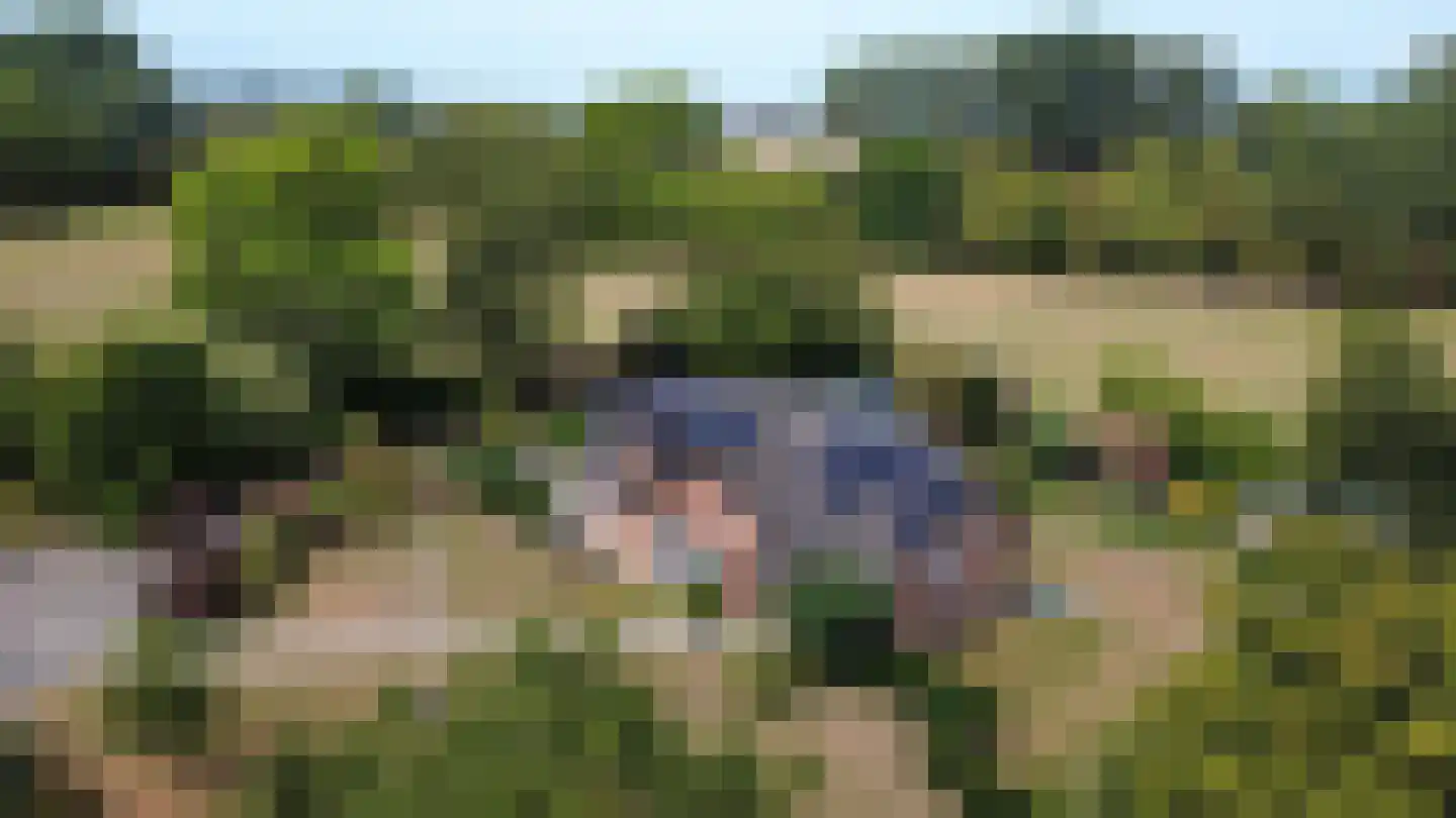 Hulsterseweg 5 Axel thumbnail 5
