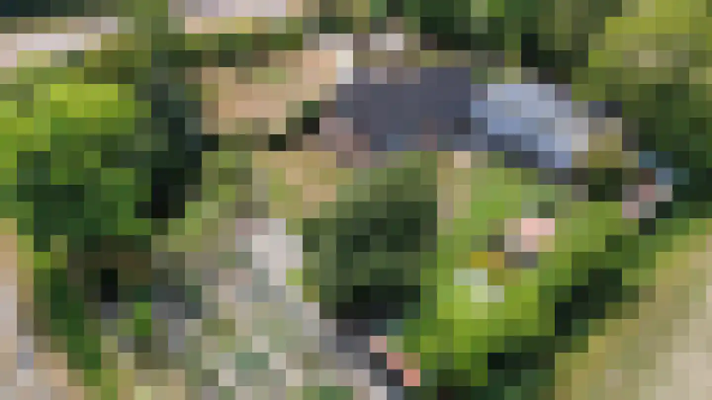 Hulsterseweg 5 Axel thumbnail 6