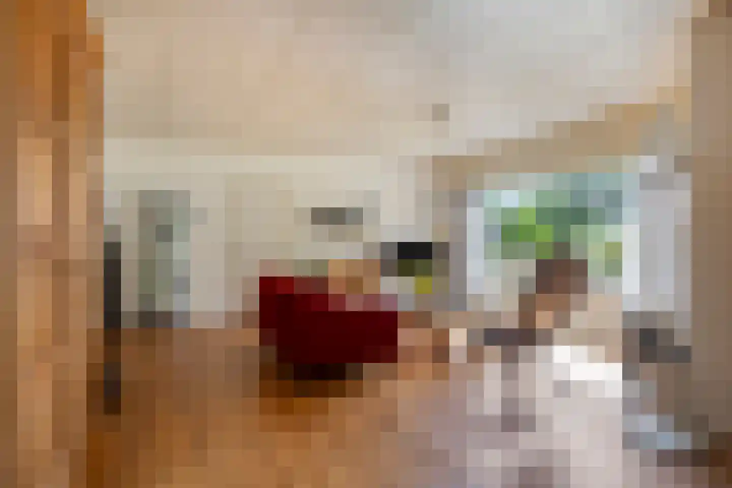 Hulsterseweg 5 Axel thumbnail 6