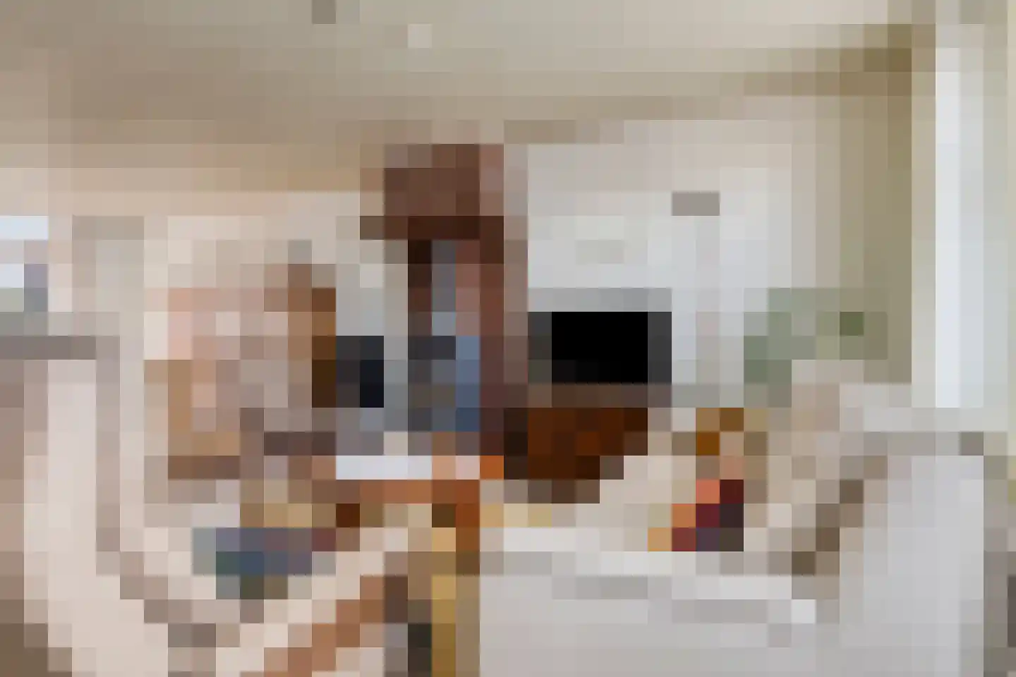 Hulsterweg 11 Kloosterzande thumbnail 10
