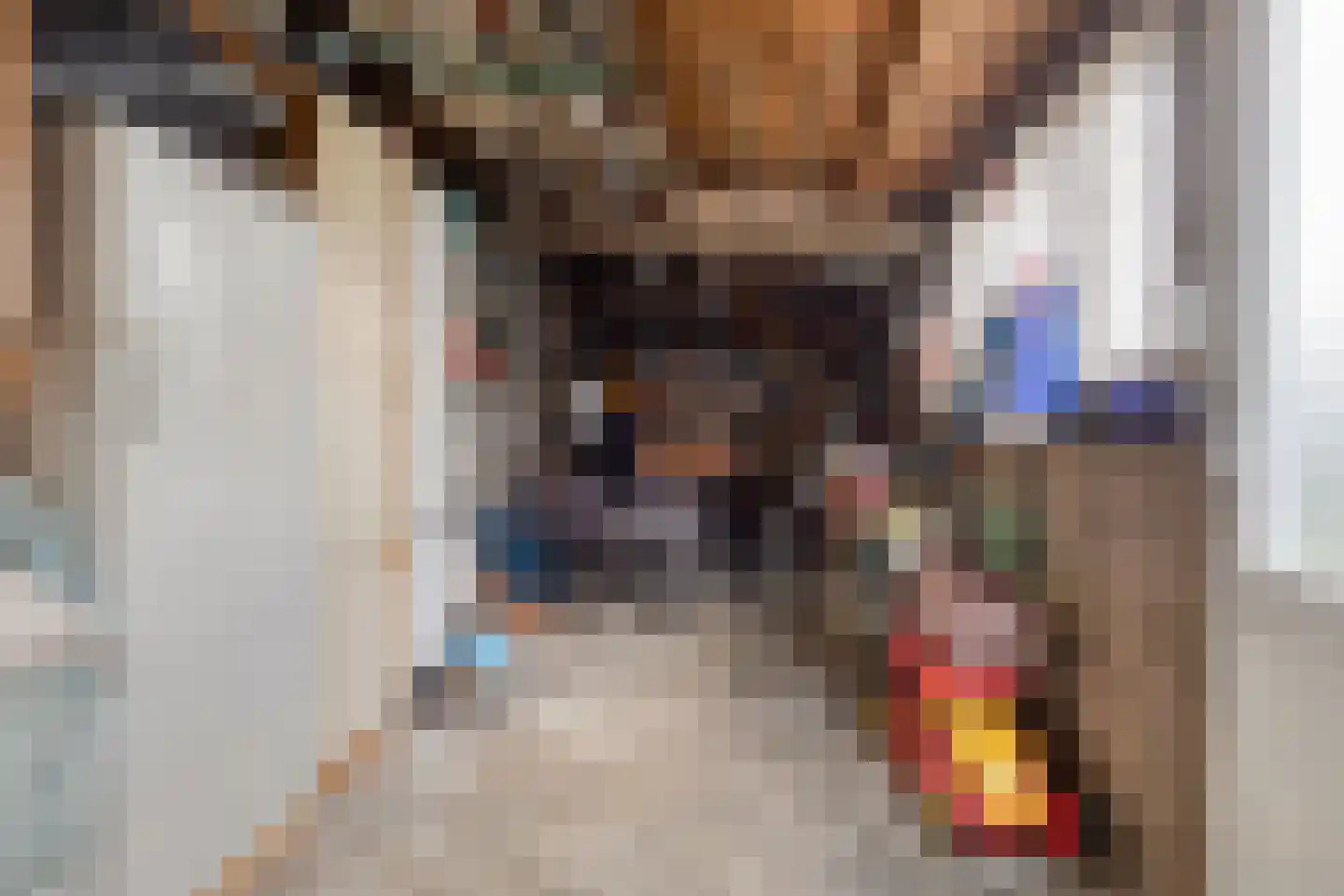 Hulsterweg 11 Kloosterzande thumbnail 16