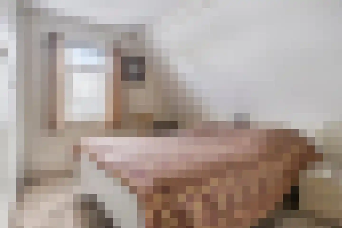 Hulsterweg 11 Kloosterzande thumbnail 18