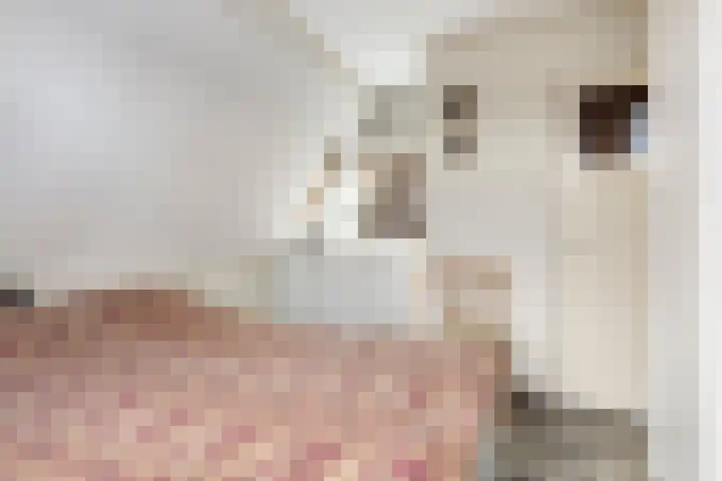 Hulsterweg 11 Kloosterzande thumbnail 19