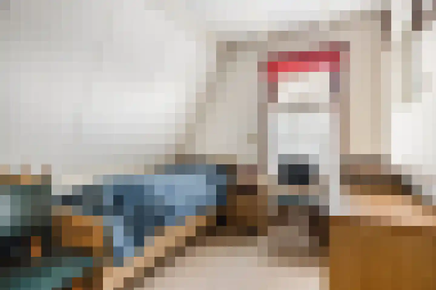 Hulsterweg 11 Kloosterzande thumbnail 21