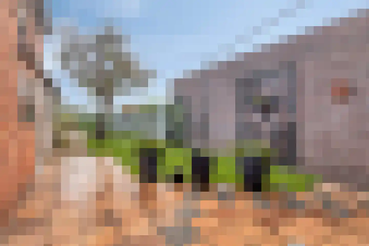 Hulsterweg 11 Kloosterzande thumbnail 23