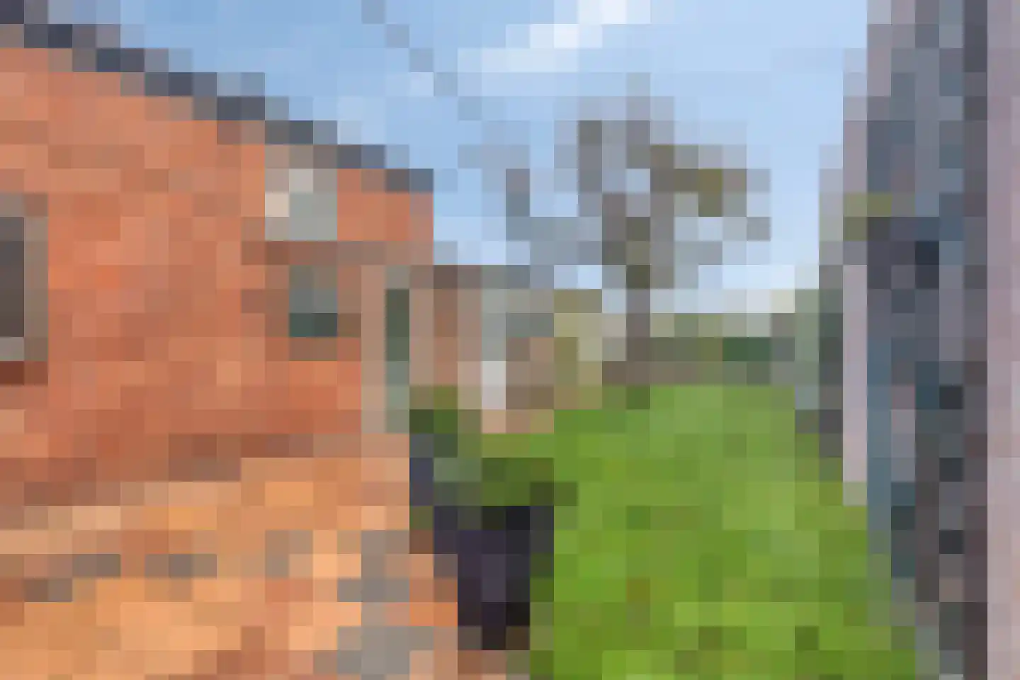 Hulsterweg 11 Kloosterzande thumbnail 24