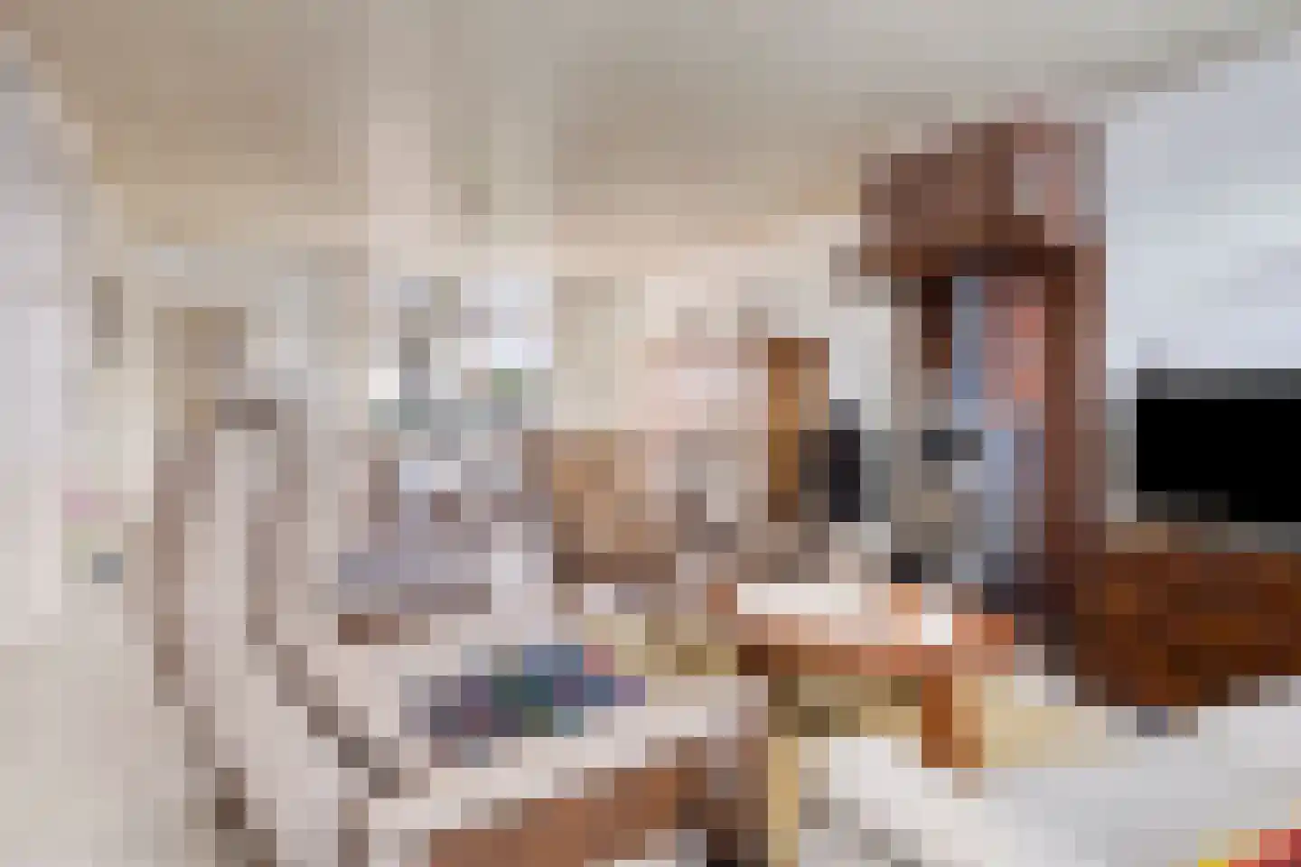 Hulsterweg 11 Kloosterzande thumbnail 9