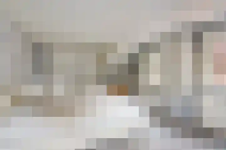 Hulsterweg 112 Terhole thumbnail 19