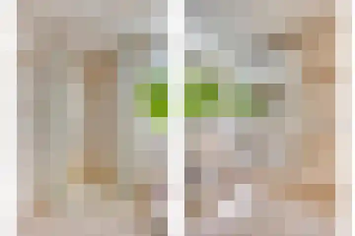 Hulsterweg 112 Terhole thumbnail 22