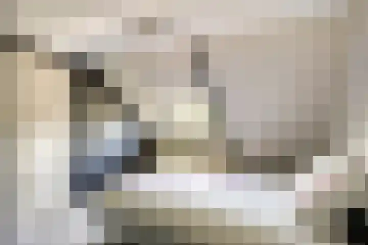 Hulsterweg 112 Terhole thumbnail 25