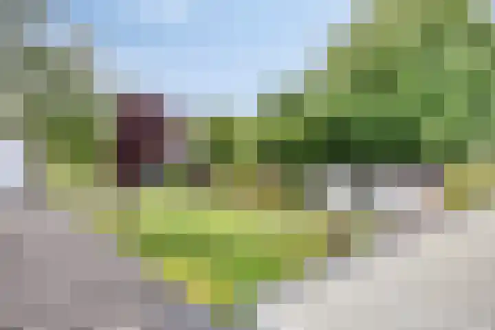 Hulsterweg 112 Terhole thumbnail 32