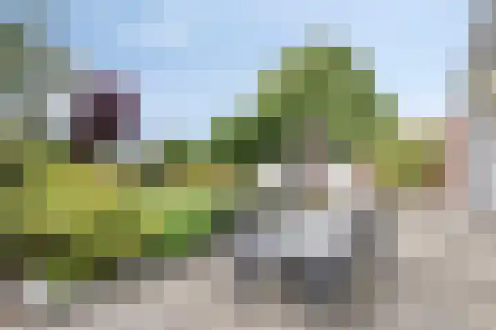 Hulsterweg 112 Terhole thumbnail 33