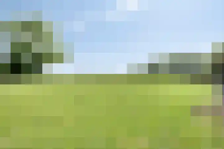 Hulsterweg 112 Terhole thumbnail 38