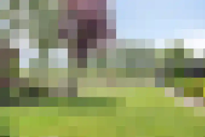 Hulsterweg 112 Terhole thumbnail 4