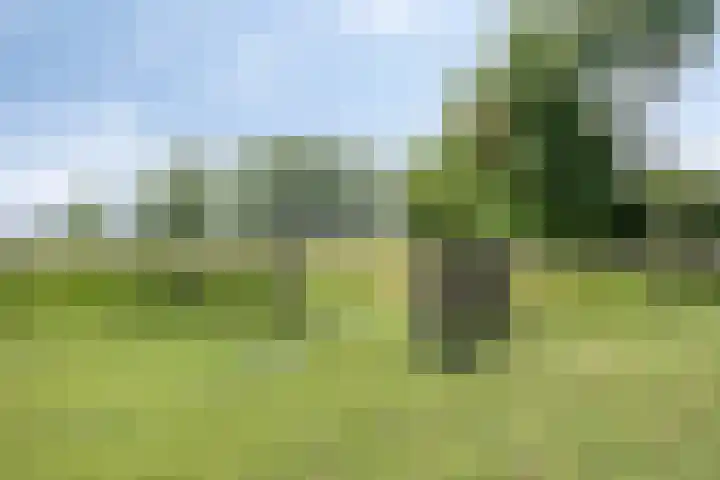 Hulsterweg 112 Terhole thumbnail 40