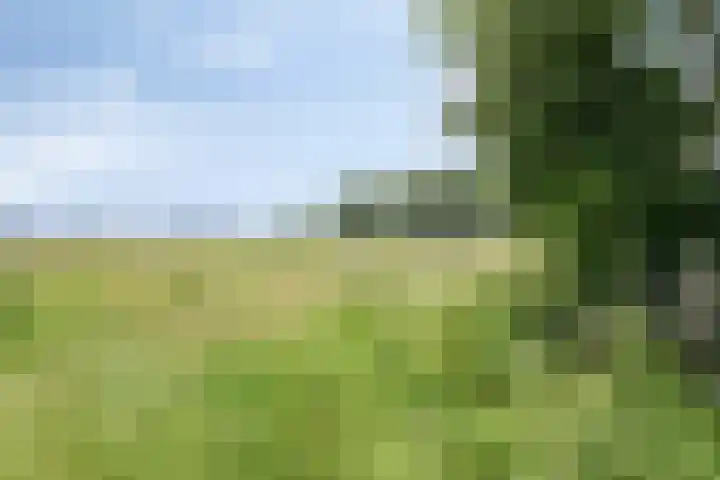 Hulsterweg 112 Terhole thumbnail 41