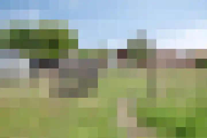 Hulsterweg 112 Terhole thumbnail 42