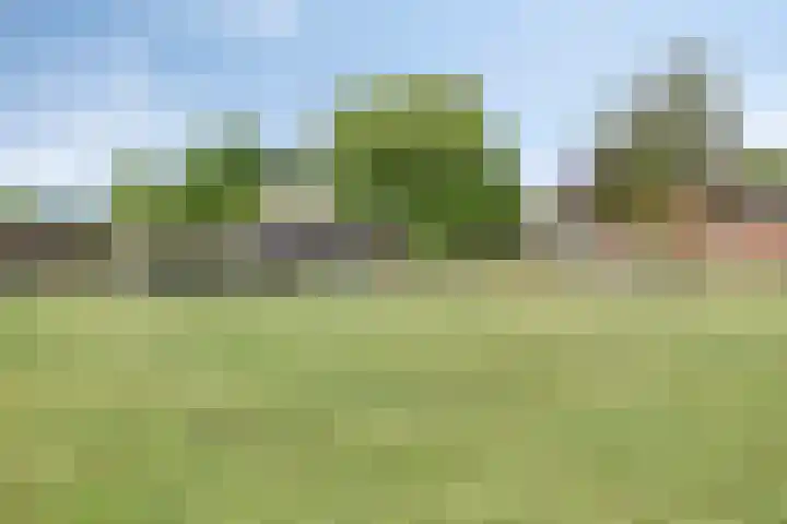 Hulsterweg 112 Terhole thumbnail 43
