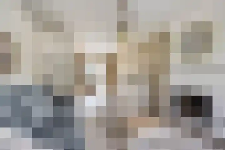 Hulsterweg 112 Terhole thumbnail 6