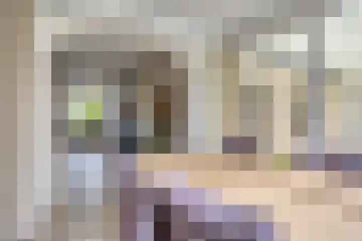 Hulsterweg 112 Terhole thumbnail 8
