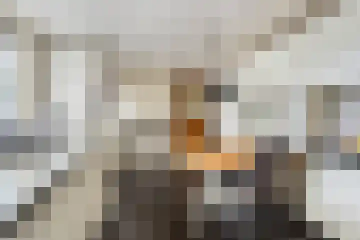 Hulsterweg 112 Terhole thumbnail 9