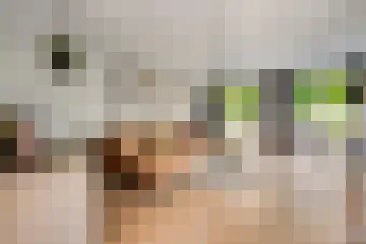 Hulsterweg 121 Kuitaart thumbnail 13