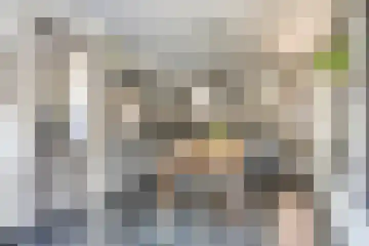 Hulsterweg 121 Kuitaart thumbnail 19