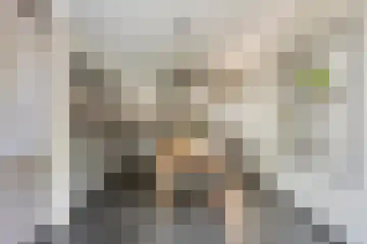 Hulsterweg 121 Kuitaart thumbnail 20