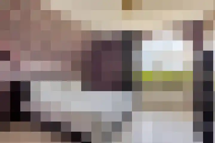 Hulsterweg 121 Kuitaart thumbnail 31