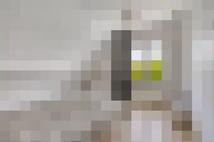 Hulsterweg 121 Kuitaart thumbnail 38