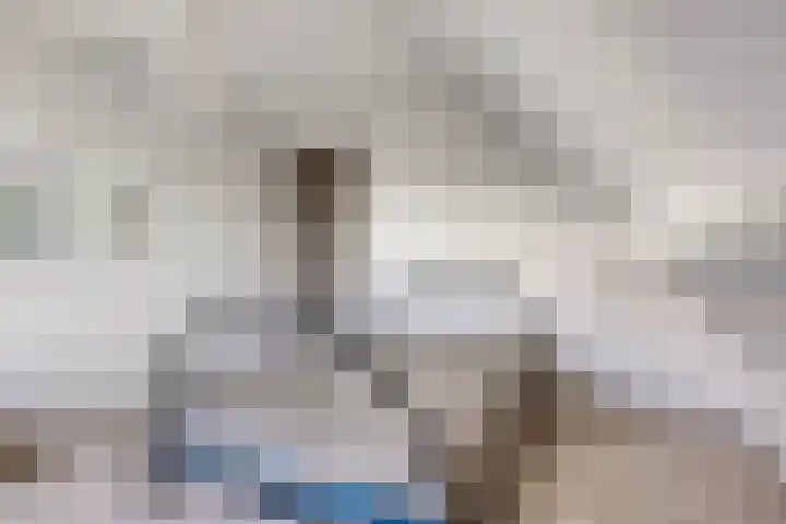 Hulsterweg 121 Kuitaart thumbnail 39